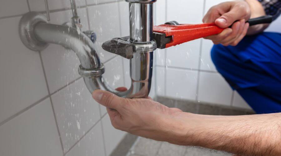 Thermal Imaging Leak Detection in Chesaning, MI